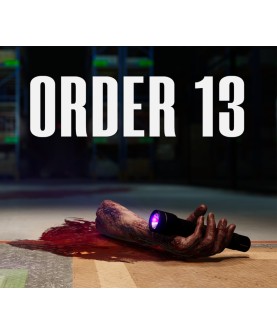 ORDER 13 Steam Key EUROPE